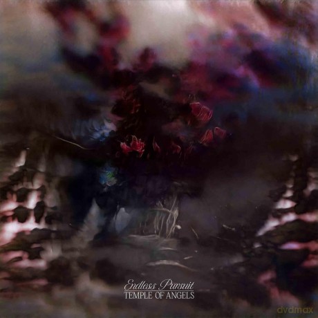 Temple Of Angels: Endless.. -Transpar- [Winyl]