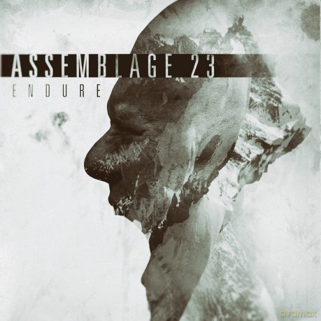 Assemblage 23: Endure -Ltd/Ep- [Winyl]