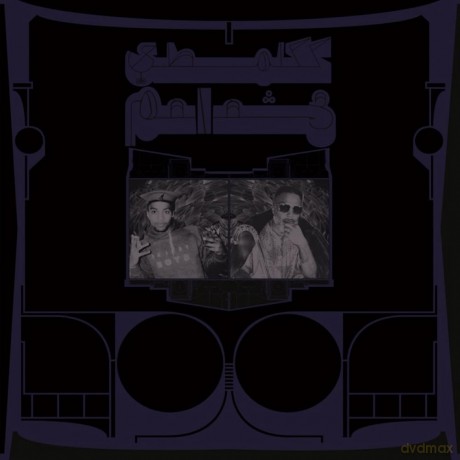Shabazz Palaces: Exotic Birds Of Prey (Translucent White) [Winyl]