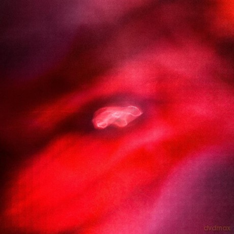 Siavash/Saffronk Amini: Faded Orbit [Winyl]