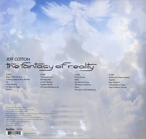 Jeff Cotton: Fantasy Of Reality [Winyl]