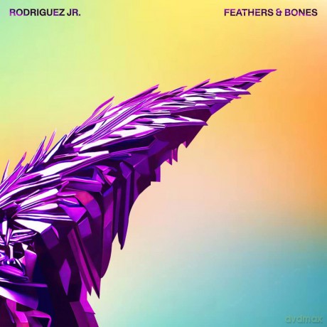 Rodriguez Jr: Feathers And Bones [2xWinyl]