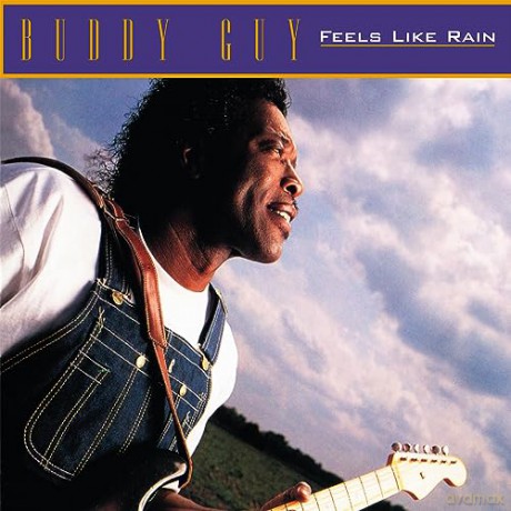 Buddy Guy: Feels Like Rain (/Purple) [Winyl]