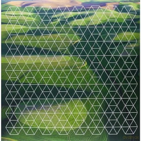 Henry Plotnick: Fields [2xWinyl]