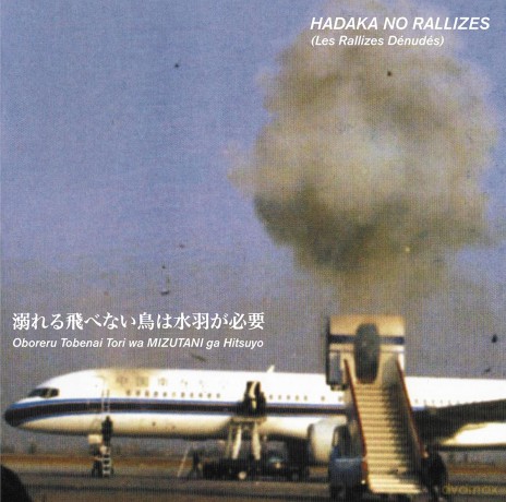 Hadaka No Rallizes (Les: Flightless Bird Needs Water Wings - Vol. 1 [Winyl]