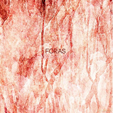 Siavash Amini: Foras [Winyl]