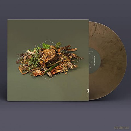 Fergus Mccreadie: Forest Floor [Winyl]