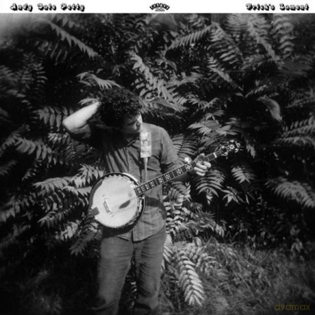 Andy Dale Petty: Frick's Lament [Winyl]