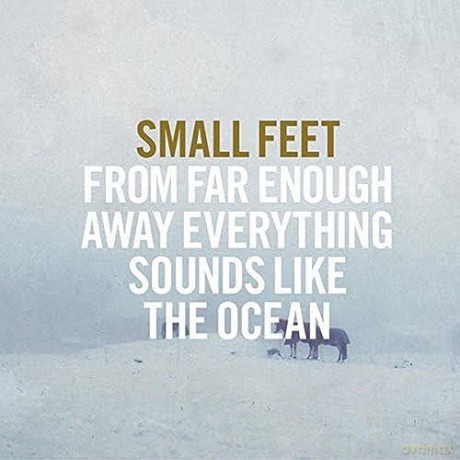 Small Feet: From Far Enough Away Everything Sounds Like The Ocean [Winyl]