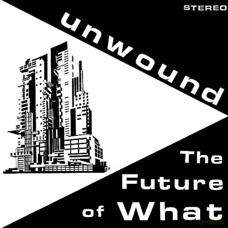 Unwound: Future Of What [Winyl]