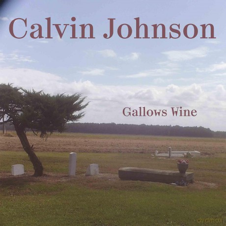 Calvin Johnson: Gallows Wine [Winyl]