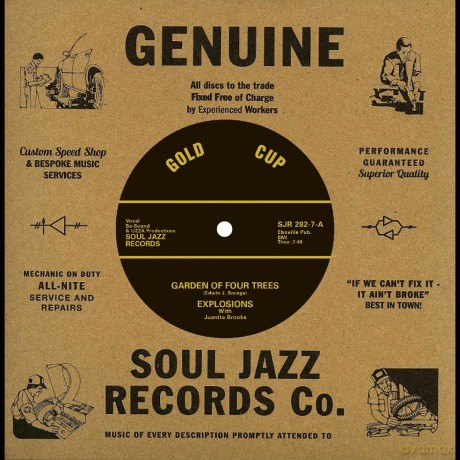 Explosions: Garden Of Four Trees (Feat. Juanita Brooks) [Winyl]