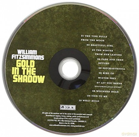 William Fitzsimmons: Gold in the Shadow [2xWinyl]