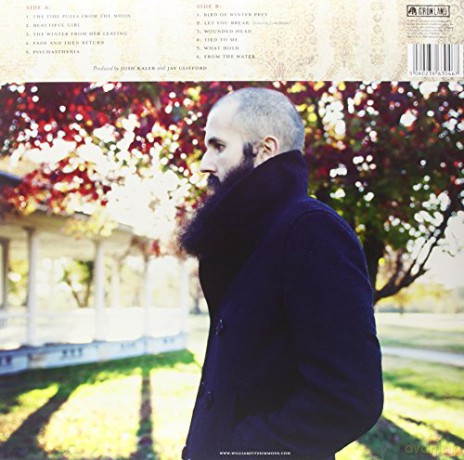 William Fitzsimmons: Gold in the Shadow [2xWinyl]