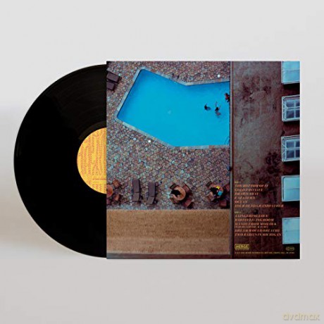 Fruit Bats: Gold Past Life (Dl Code) [Winyl]