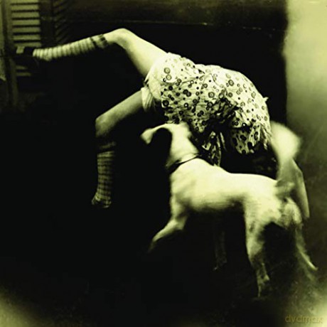 Over the Rhine: Good Dog Bad Dog: The Home Recordings [Winyl]