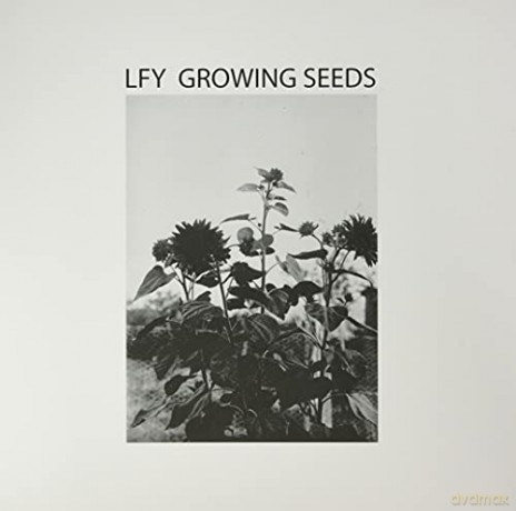 Lust For Youth: Growing Seeds [Winyl]