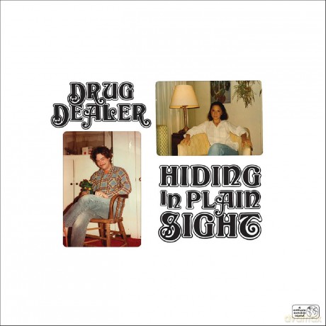 Drugdealer: Hiding In Plain Sight [Winyl]