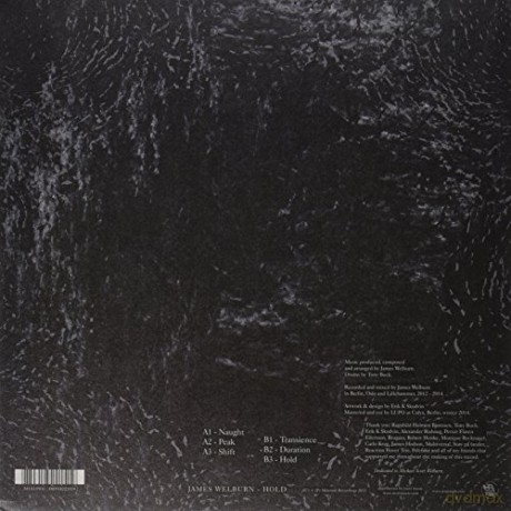 James Welburn: Hold [Winyl]