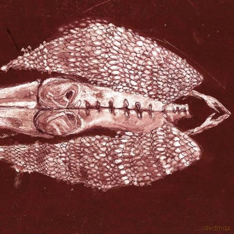 Cerberus Shoal: Homb (Anniversary Edition) [Winyl]