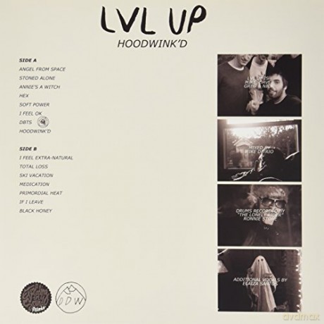 Lvl Up: Hoodwink'd [Winyl]