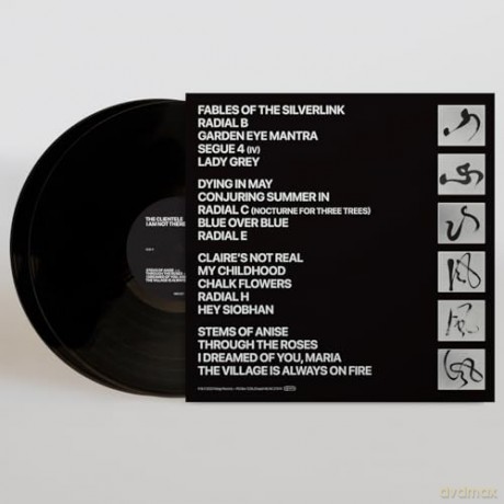 Clientele: I Am Not There Anymore [Winyl]