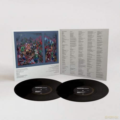 Clientele: I Am Not There Anymore [Winyl]