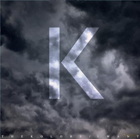 The Kolors: I Want [Winyl]