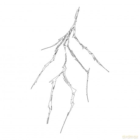 Thru Collected: Il Grande Fulmine [2xWinyl]