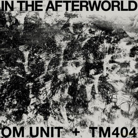 Om Unit And Tm404: In The Afterworld [Winyl]
