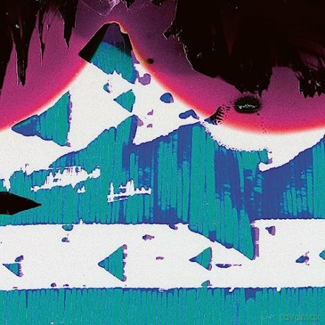 Shackleton And Waclaw Zimpel: In The Cell Of Dreams [Winyl]