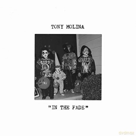 Tony Molina: In The Fade [Winyl]