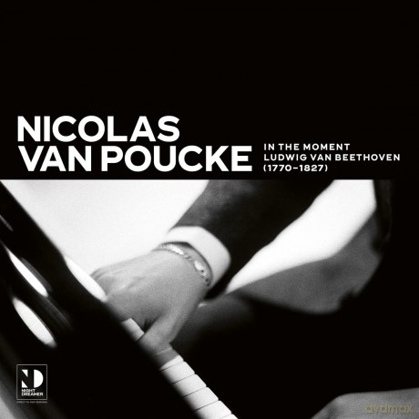Nicolas Van Poucke: In The Moment [Winyl]