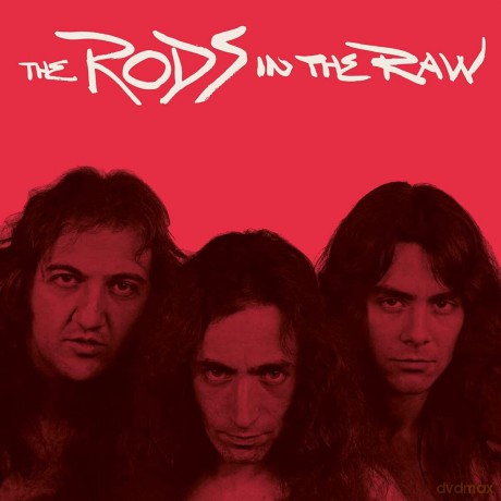 The Rods: In The Raw [Winyl]