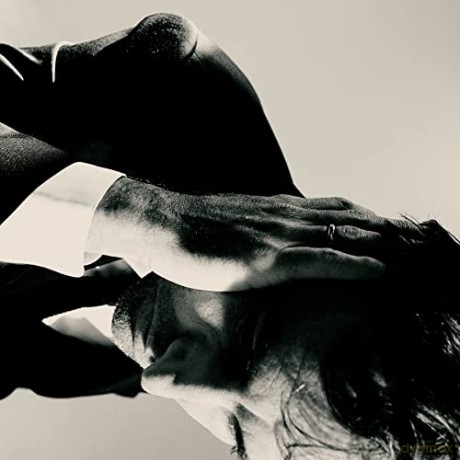 Andrew Bird: Inside Problems [Winyl]