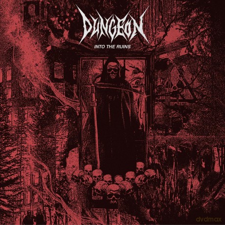 Dungen: Into The R [Winyl]