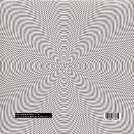 Sonic Youth: Invito Al Cielo [Winyl]
