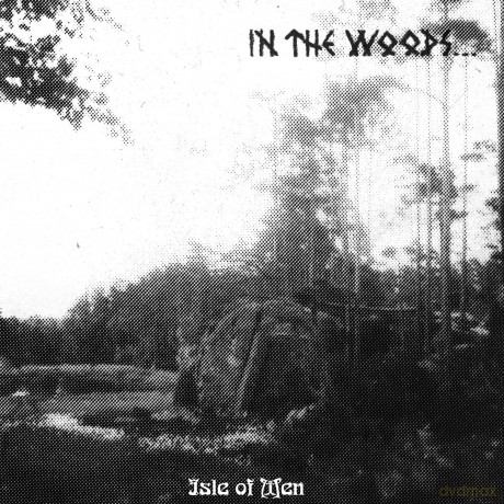 In The Woods: Isle Of Men [Winyl]