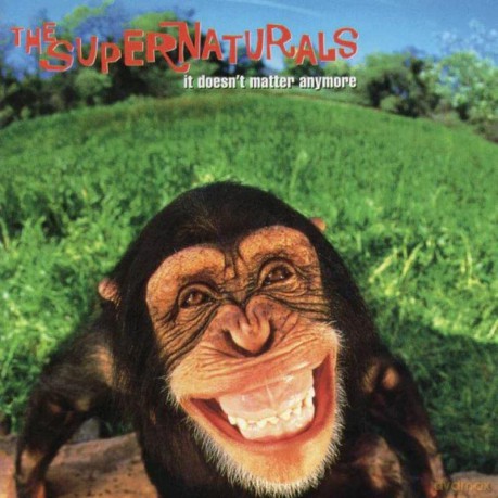 The Supernaturals: It Doesn't Matter Anymore [Winyl]