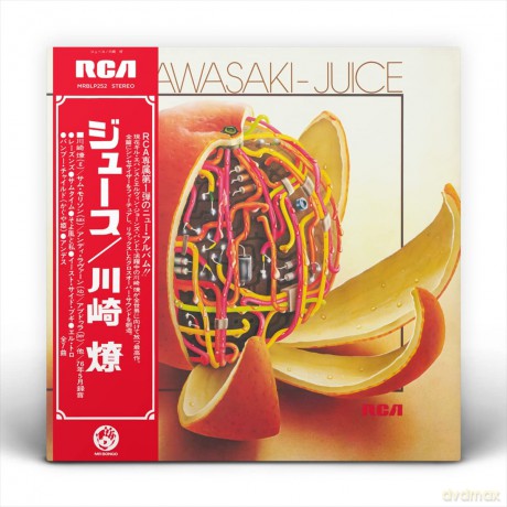 Ryo Kawasaki: Juice [Winyl]