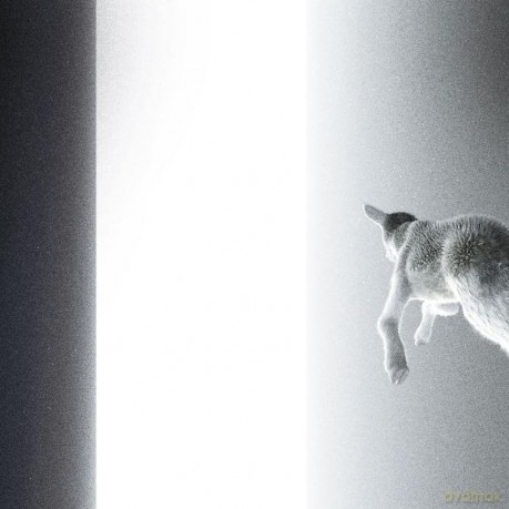 Panoram: Keep Looking Where The Light Comes From [Winyl]