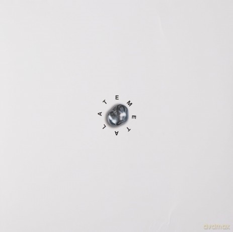 Thomas Roussel: Late Metal [Winyl]