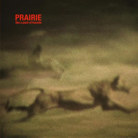 Prairie: Like A Pack Of Hounds [Winyl]