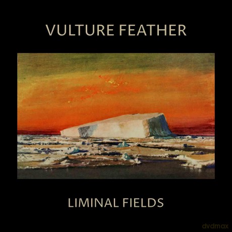 Vulture Feather: Liminal Fields [Winyl]