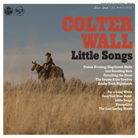 Colter Wall: Little Songs [Winyl]