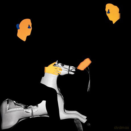 Mgmt: Loss Of Life [Winyl]