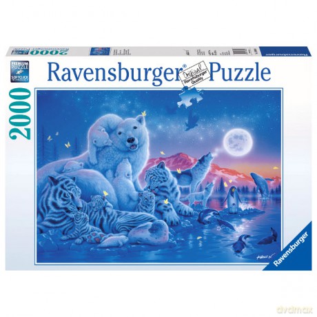 RAVENSBURGER 2000 El. Noc Polarna [PUZZLE]
