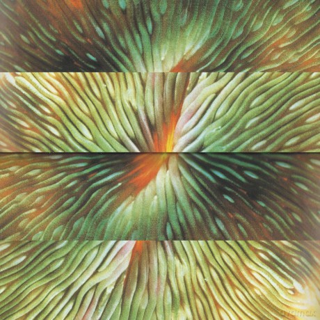 Active Surplus: Mirroring [Winyl]