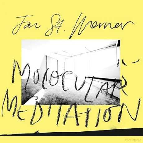Jan St Werner: Molocular Meditation [Winyl]