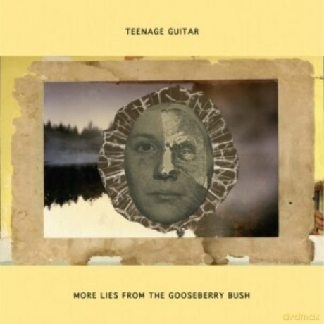 Teenage Guitar: More Lies From The Gooseberry Bush [Winyl]